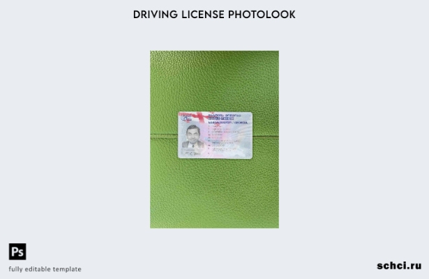 цифровая загрузка шаблона Georgia DL Photolook FRONT